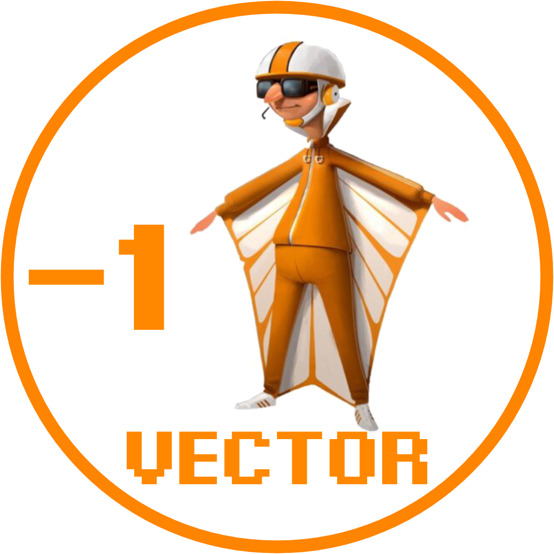 Vector -1